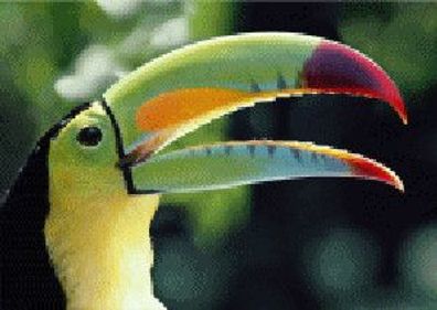 3 D Ansichtskarte Tukan, Postkarte Wackelkarte Hologrammkarte Tier Vogel Tukane