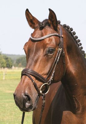 Hans Melzer Mechtersen Trense