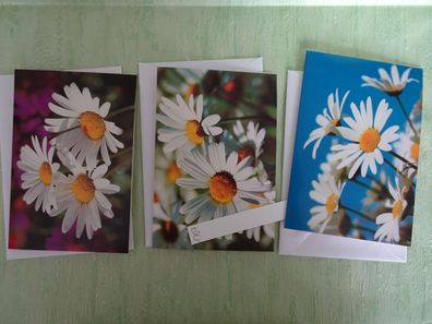 3 Blumen Margeriten Sonnenblumen Grußkarten & Kuvert Hanra "neutral" ohne Text