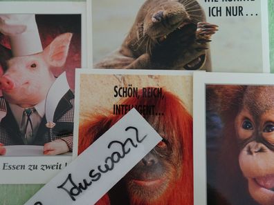 alte Postkarten AK Humor Tiere Affe Seehund Schwein lustige Sprüche Freundschaft