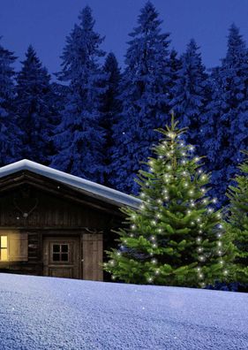 31169 Lichterkette Weihnachtsbaum Baumvorhang außen 2m 160 LED warmweiß Timer
