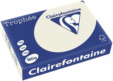 Clairefontaine Trophee Papier 1041C Grau 160g/ m² DIN-A4 - 250 Blatt