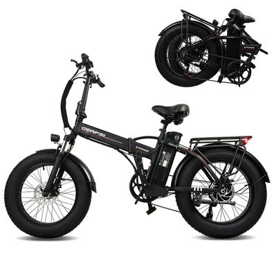 Elektrofahrrad GERPSI D1 250W 48V 13AH 45KM/ H E-Bike