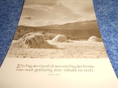 Postkarte-Karte mit Spruch- Oberlausitzer Kunstverlag- Ein Tag der Gunst