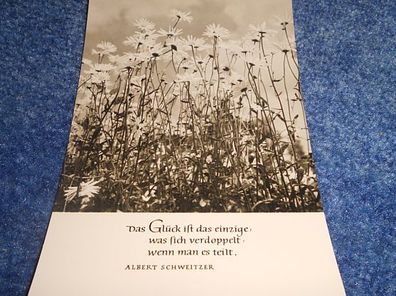 Postkarte-Karte mit Spruch- Oberlausitzer Kunstverlag- Das Glück ist