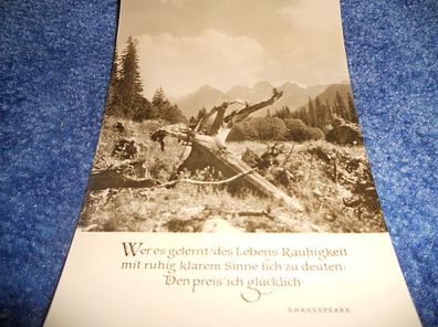 Postkarte-Karte mit Spruch- Oberlausitzer Kunstverlag- Wer es gelernt