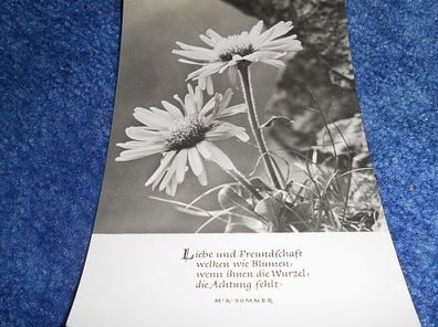 Postkarte-Karte mit Spruch- Oberlausitzer Kunstverlag- Liebe und Freundschaft