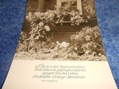 Postkarte-Karte mit Spruch- Oberlausitzer Kunstverlag- Auch in den Blumenfenstern