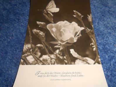 Postkarte-Karte mit Spruch- Oberlausitzer Kunstverlag- Freu dich der Blüte