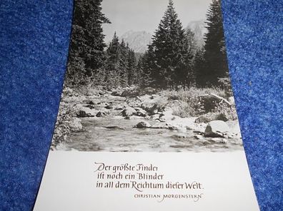 Postkarte-Karte mit Spruch- Oberlausitzer Kunstverlag- Der größte Finder