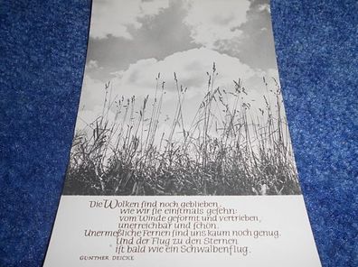 Postkarte-Karte mit Spruch- Oberlausitzer Kunstverlag- Die Wolken sind noch geblieben