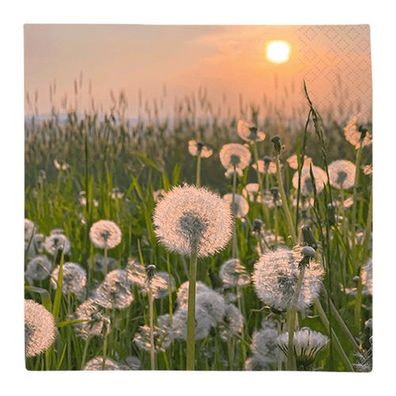 Lunchservietten „Dandelion Clock“, 33x33 cm, 3-lagig, Home Fashion®, 20 Stück, Campin