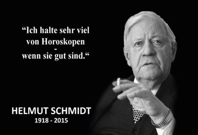 Top-Schild, Holz / Blech, Helmut Schmidt, gute Horoskope, Neu, OVP