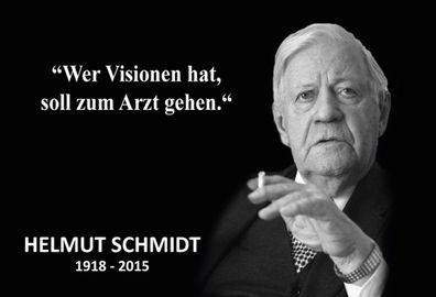 Top-Schild, Holz / Blech, Helmut Schmidt, Visionen, Arzt gehen, Neu, OVP
