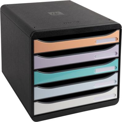 Exacompta 3094296D Premium Ablagebox mit 5 Schubladen für DIN A4+ Dokumente. Belas...