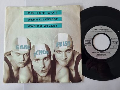 Ganz Schön Feist - Es ist gut, wenn du weisst, was du willst 7'' Vinyl Germany