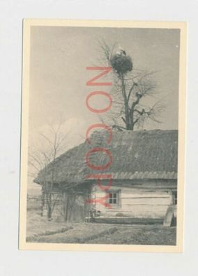 Foto WK2 Bauernhaus mit Störche bei Krymno 1944 #5