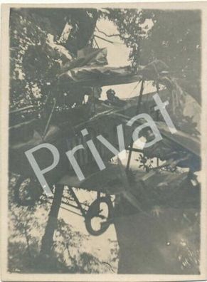 Foto WK I Flugzeug Militär Doppeldecker Baumlandung Pilot Biller 1915 F1.9