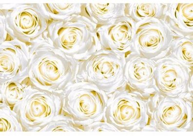 20er Pack DUNI Mitteldecke Dunicel 84 x 84 cm Dunisilk "Rose White Dreams" 12