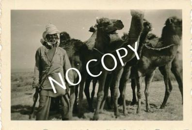 Foto WK2 Afrikacorps Nomade Kamele Wüste 12/1942 Libyen ????? Afrika C 1.25