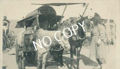 Foto PK Nordchina Pferde mit Kutsche antik C1.20