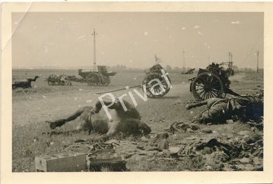 Foto WK II Wehrmacht Geschütze nach Angriff tote Pferde K1.32
