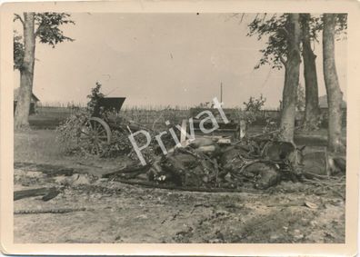 Foto WK II Wehrmacht tote Pferde Zerstörte Wagen nach Angriff K1.31