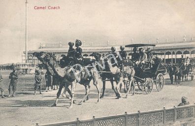 Historische Postkarte Camel Kutsche Indien Hoheit : Folkestone gelaufen K1.14