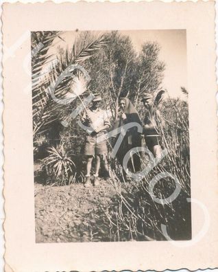 Foto WK2 - Afrikakorps Freizeit Spaß Jagd Gewehr usw. X56
