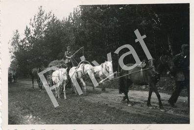 Foto WK II Wehrmacht Soldaten Uniform Pferdegespann Heu Ernte L1.25