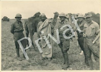 Foto XL WK 2 Soldaten Nomade Dromedar Wüste 1941 Darna ???? Libyen ????? A1.15