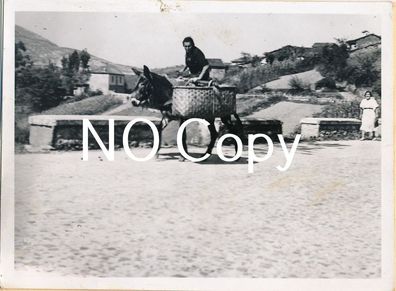 Foto Bürgerkrieg Spanien - Andalusien Bauer auf seinem Esel 1937. X40