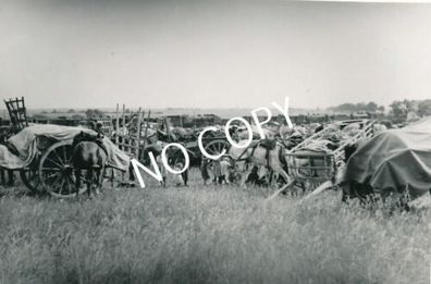 Foto WK II Flüchtlinge Refuges mit Pferdegespannen in Frankreich G1.51