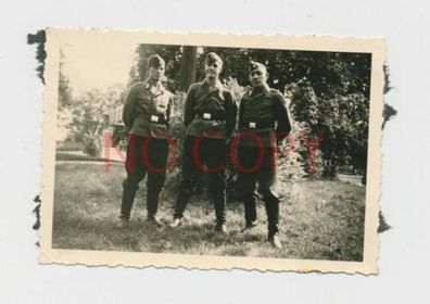 Foto WK 2 Soldaten mit Wolf Kragenspiegel #10
