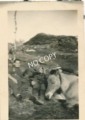 Foto WK II Gebirgs-Pionier-Battailon 82 Soldaten mit Muli Norway F1.84