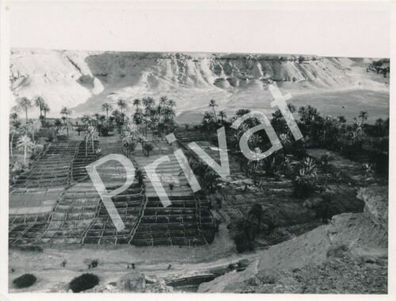 Foto WKII Panzerdivision Bayerlein Oase Plantage Wüste Afrika F1.75