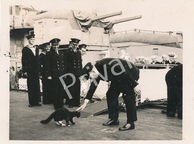 Foto WK II "H. M. S. Prince of Wales" Churchill, Katze, Atlantik Bündnis L1.76