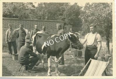 Foto WK II Soldaten melken eine Kuh E1.46