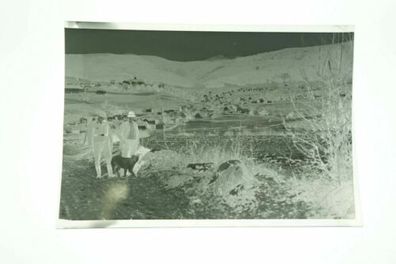Foto WK II Negativ Schwarz WeißSoldaten mit Jagdhund im ländlichen Gebiet E1.26