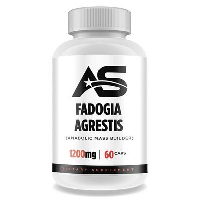 Fadogia Agrestis 60 Kapseln