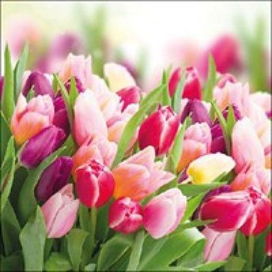 AmbienteServietten Glorious Tulips, Tulpen 33x33, 20 Stück 20 St