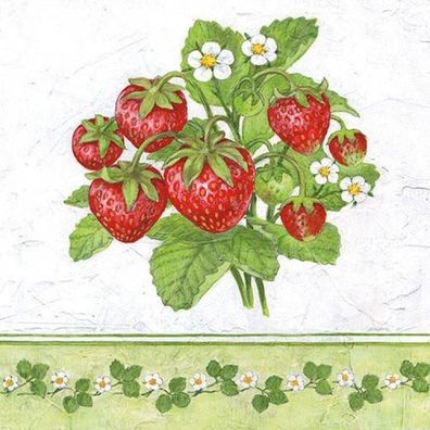 Servietten Season Fruit Erdbeeren, 33x33, 20 Stück 20 St