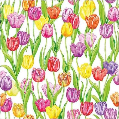 Ambiente Servietten Magic Tulips, Tulpen 33x33, 20 Stück 20 St