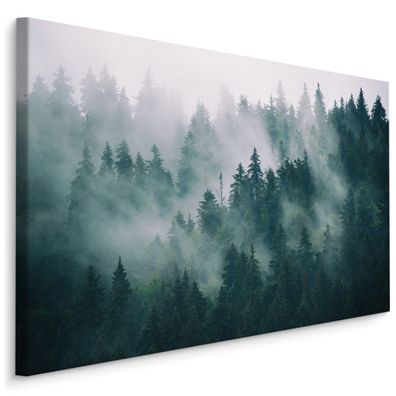 Muralo Leinwandbild Canvas Wald im Nebel Bäume Landschaft 3D Natur Wandbild