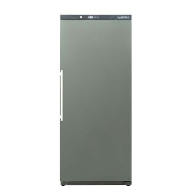 Easyline Lagertiefkühlschrank ABS / 580