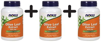3 x Olive Leaf Extract, 500mg - 120 vcaps