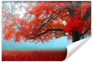 Muralo Selbstklebende Fototapete Rote Blätter Baum Wald Herbst Natur 3D Wanddeko