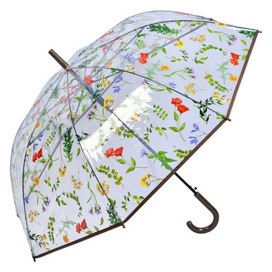 Clayre & Eef Erwachsenen-Regenschirm 60 cm Transparant Kunststoff Blätter