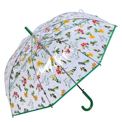 Clayre & Eef Erwachsenen-Regenschirm 60 cm Transparant Kunststoff Blätter