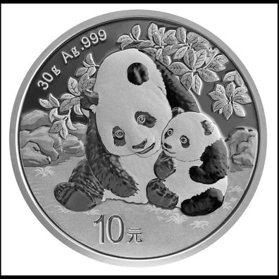 Silbermünze China Panda 2024 999 Silber 10 Yuan 30 Gramm Feinsilber